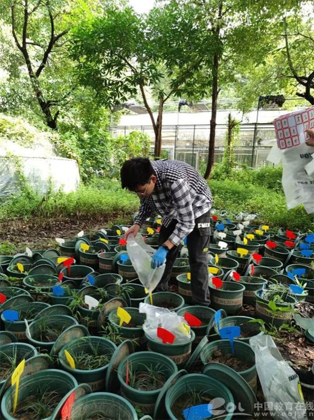 一群人在公园里 AI 生成的内容可能不正确。