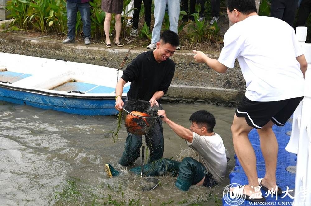 一群人正在玩飞盘 AI 生成的内容可能不正确。